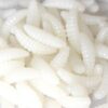 1566684458196.jpg 50pcs artificial soft maggot grub fishing lure bait