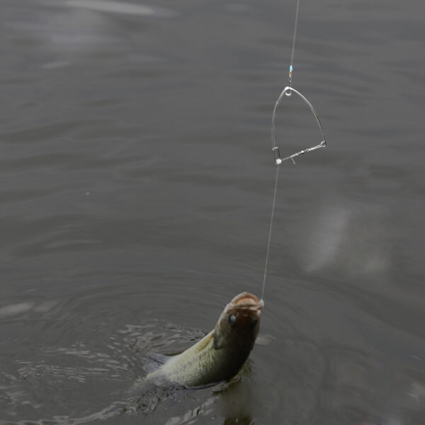 1620370483861.jpg Fishing Artifact, Automatic Fishing Hook, Magic Hook, Tying Fishing Gear