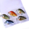2500570865292.jpg Mini Crankbait fishing lures 2.7CM 1.5G bait boxed Set