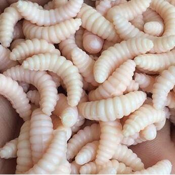 485693642705.jpg 50pcs artificial soft maggot grub fishing lure bait